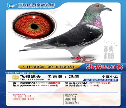 国力秋棚决赛280名