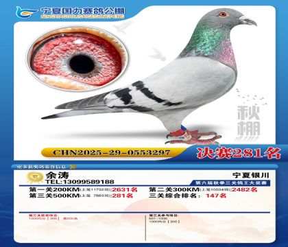 国力秋棚决赛281名