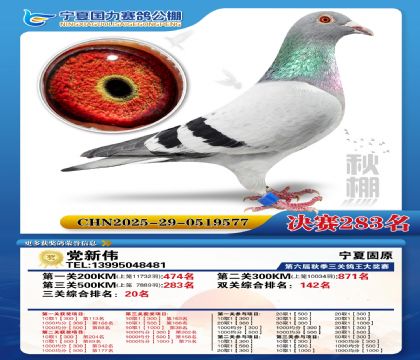 国力秋棚决赛283名