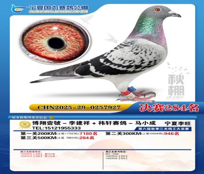 国力秋棚决赛284名