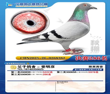 国力秋棚决赛286名