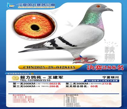 国力秋棚决赛288名