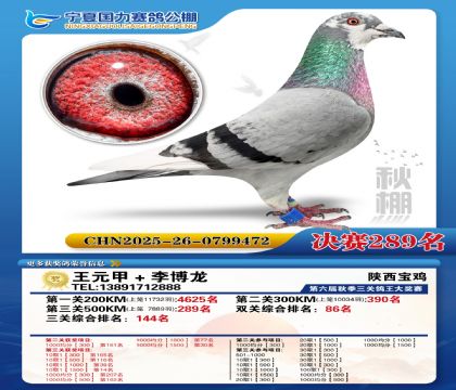 国力秋棚决赛289名