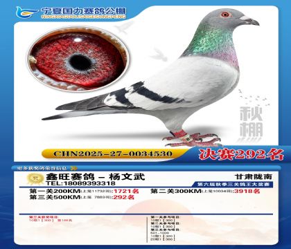 国力秋棚决赛292名