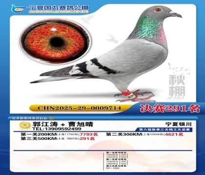 国力秋棚决赛291名