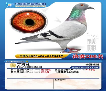 国力秋棚决赛296名
