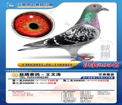 国力秋棚决赛295名