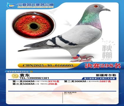 国力秋棚决赛298名