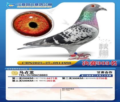 国力秋棚决赛303名