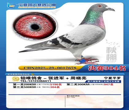 国力秋棚决赛304名