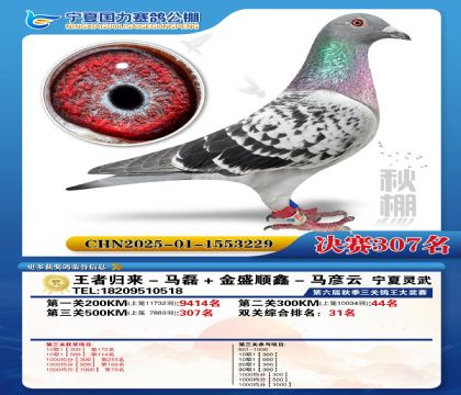 国力秋棚决赛307名