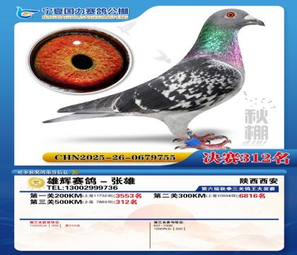 国力秋棚决赛312名