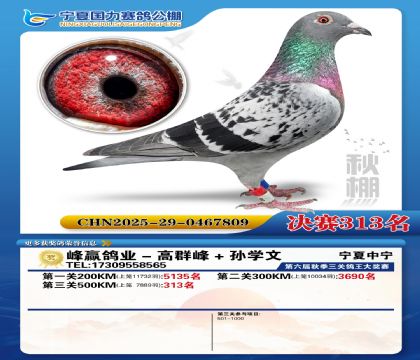 国力秋棚决赛313名