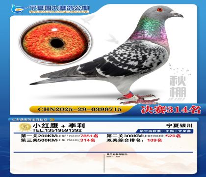 国力秋棚决赛314名