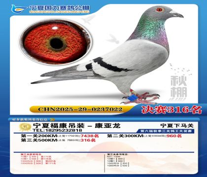 国力秋棚决赛316名