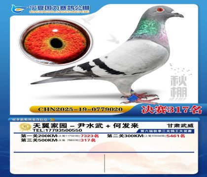国力秋棚决赛317名