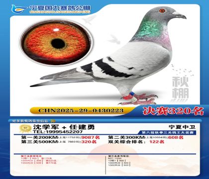 国力秋棚决赛320名