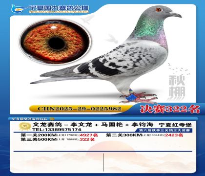 国力秋棚决赛322名