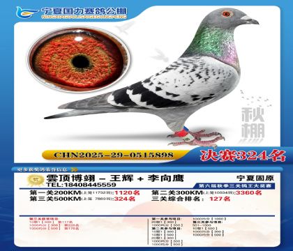 国力秋棚决赛324名