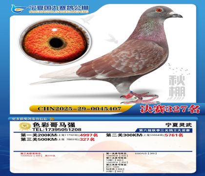 国力秋棚决赛327名