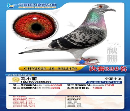 国力秋棚决赛326名