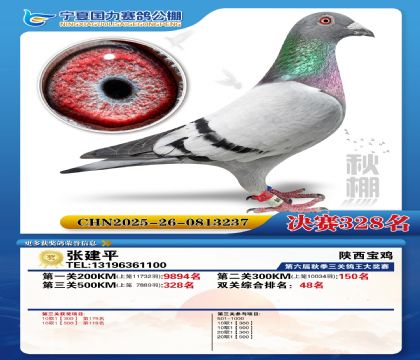 国力秋棚决赛328名