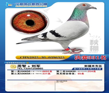 国力秋棚决赛331名