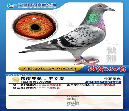 国力秋棚决赛335名