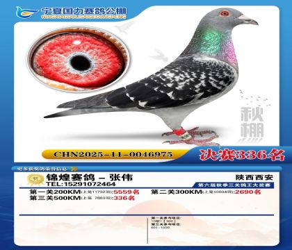 国力秋棚决赛336名