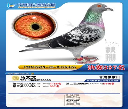 国力秋棚决赛337名