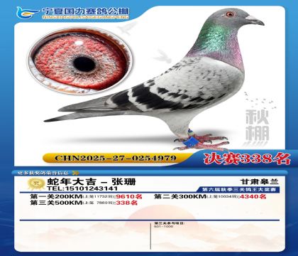 国力秋棚决赛338名