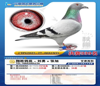 国力秋棚决赛339名