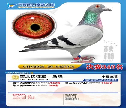 国力秋棚决赛340名