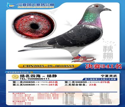 国力秋棚决赛341名