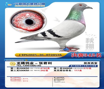 国力秋棚决赛342名