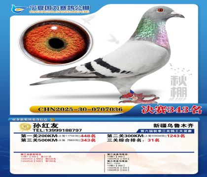 国力秋棚决赛343名