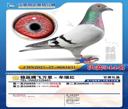 国力秋棚决赛344名