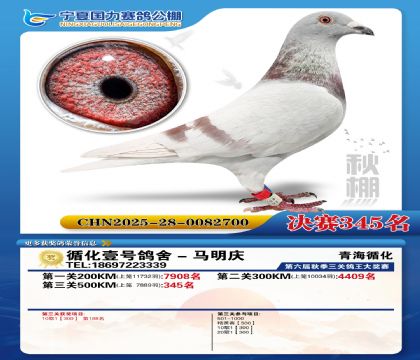 国力秋棚决赛345名