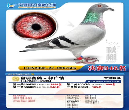 国力秋棚决赛346名