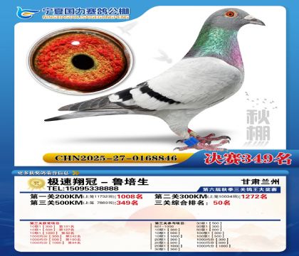 国力秋棚决赛349名