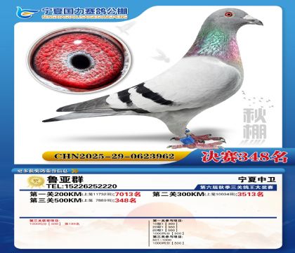 国力秋棚决赛348名