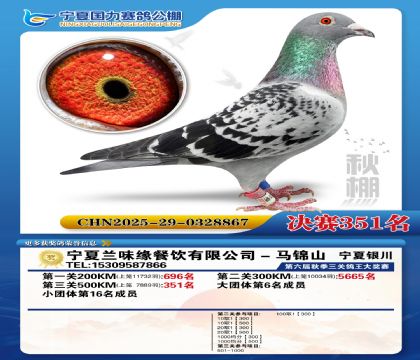 国力秋棚决赛351名