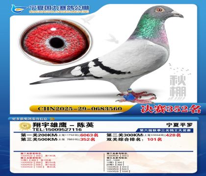 国力秋棚决赛352名