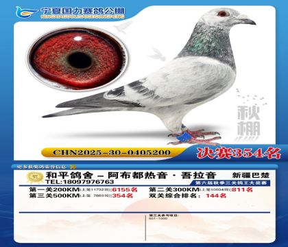 国力秋棚决赛354名