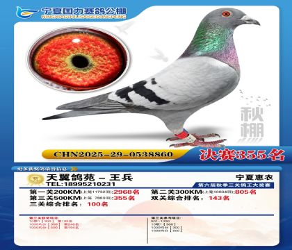 国力秋棚决赛355名