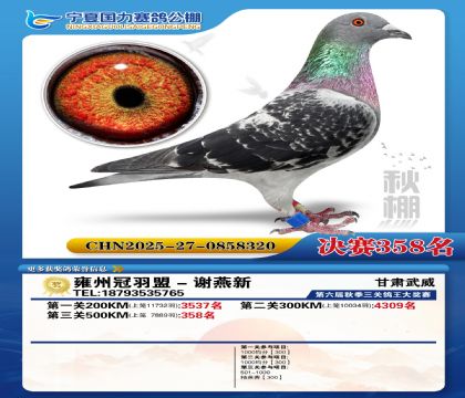 国力秋棚决赛358名