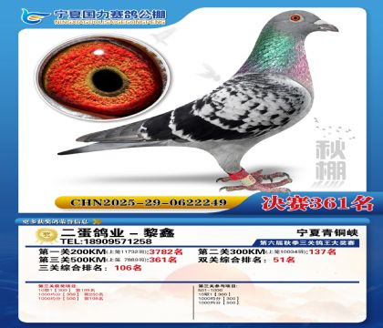 国力秋棚决赛361名