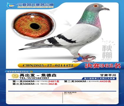 国力秋棚决赛362名