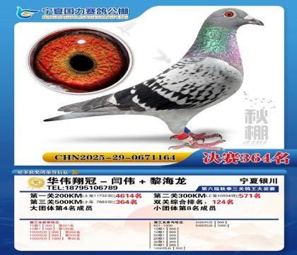 国力秋棚决赛364名