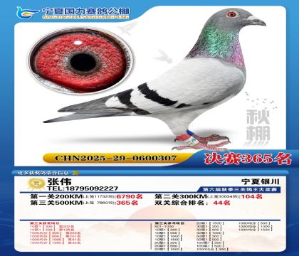 国力秋棚决赛365名